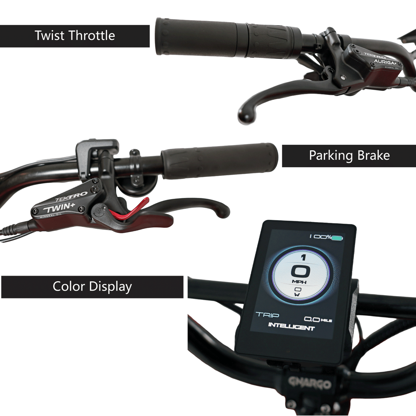 Close-up of motorcycle handlebar controls with labels on a white background