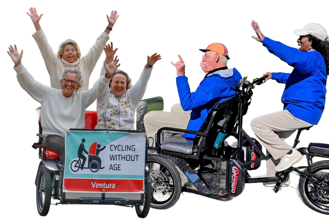 What Is Cycling Without Age?